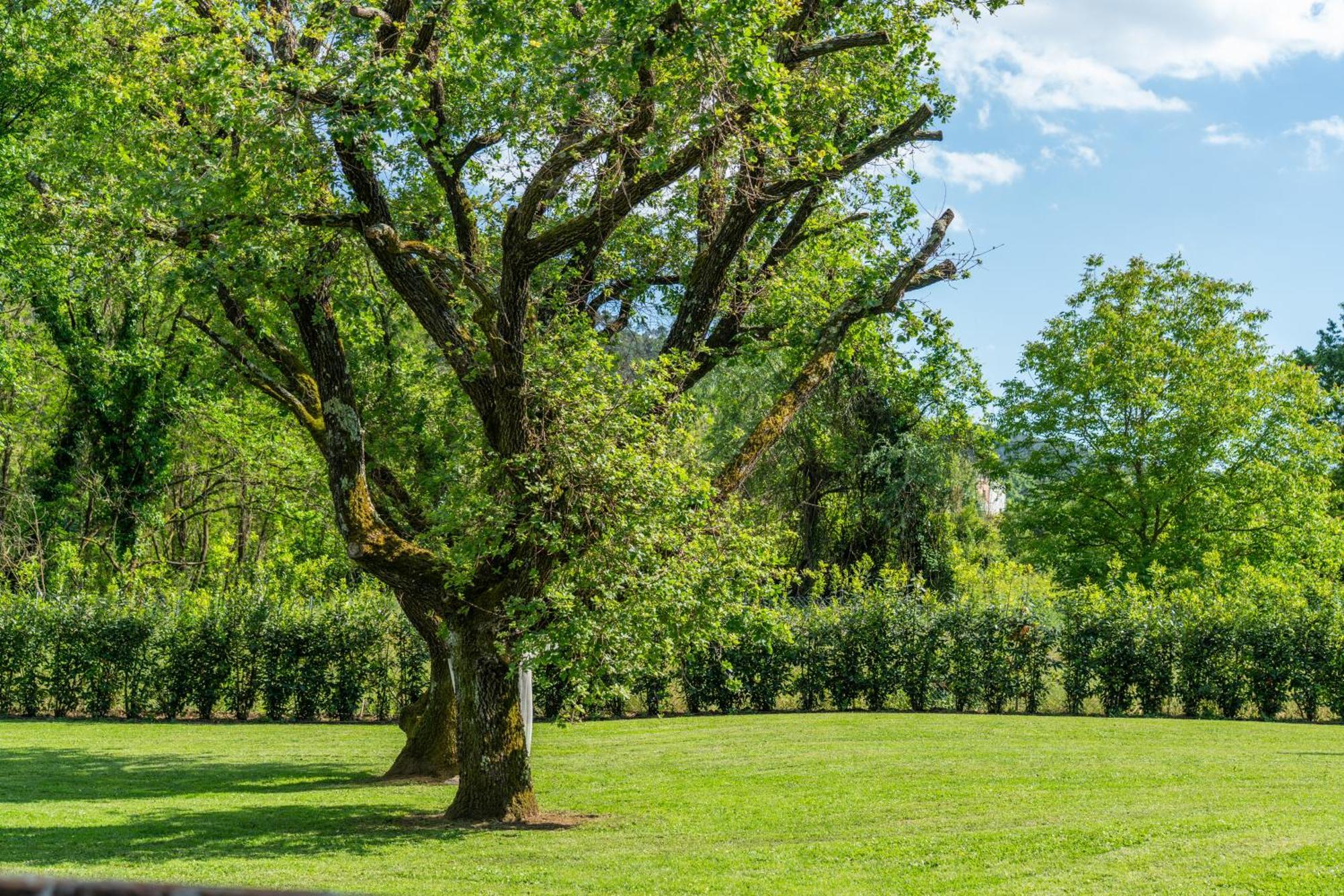 Villa Vittoria - Lusso Con Piscina, Tennis, Jacuzzi E Palestra Lucca Buitenkant foto